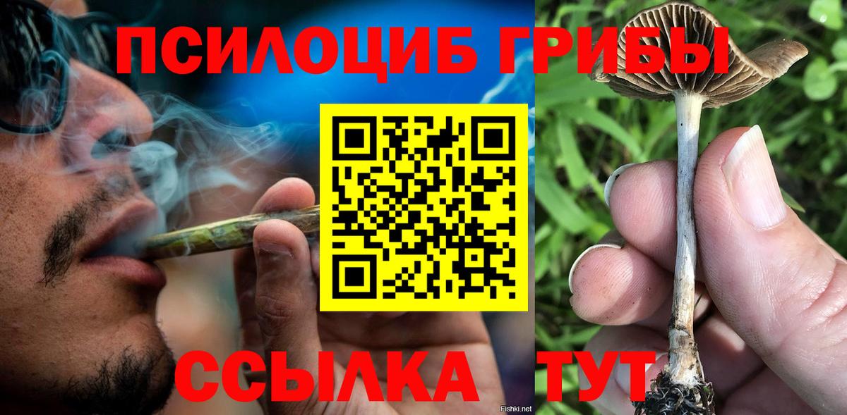 Галлюциногенные грибы Cubensis Георгиевск