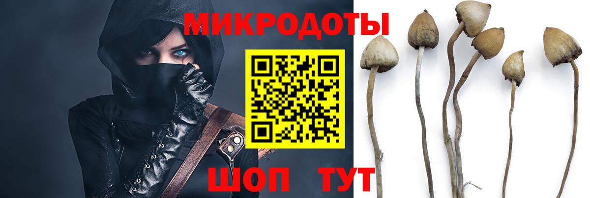 Георгиевск  Галлюциногенные грибы мухоморы  Галлюциногенные грибы мухоморы  Вход с VPN 