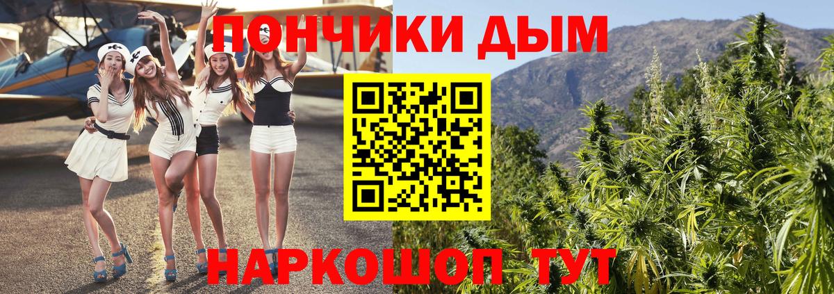 Шишки марихуана ГИДРОПОН Георгиевск